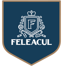 Logo Feleacul